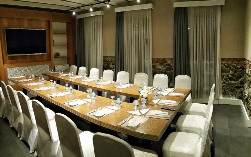 Conference and Meeting